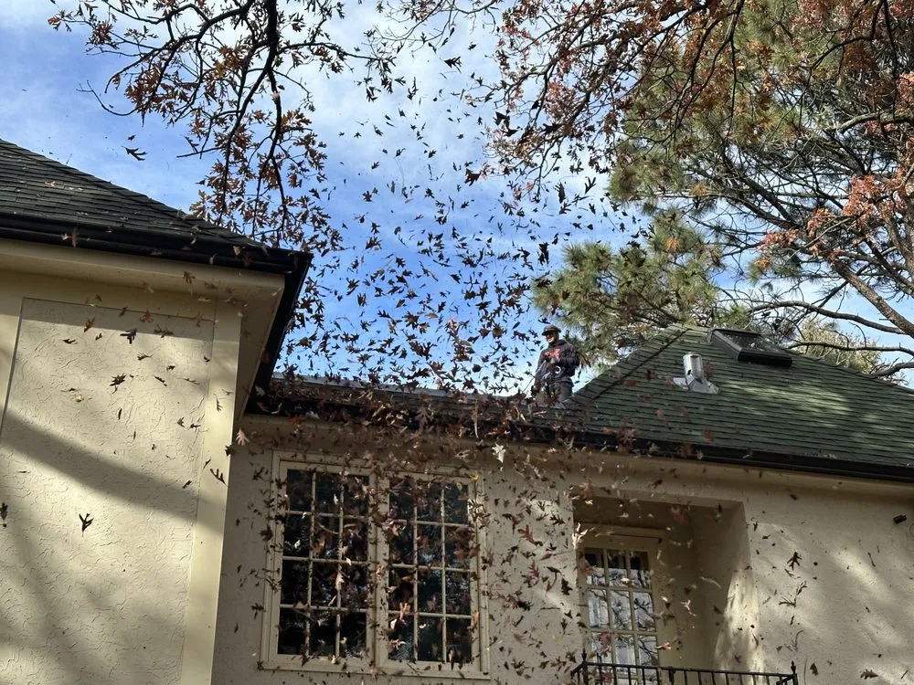 Affordable yard cleanup service in Apple Valley, MN by Ace of Spades