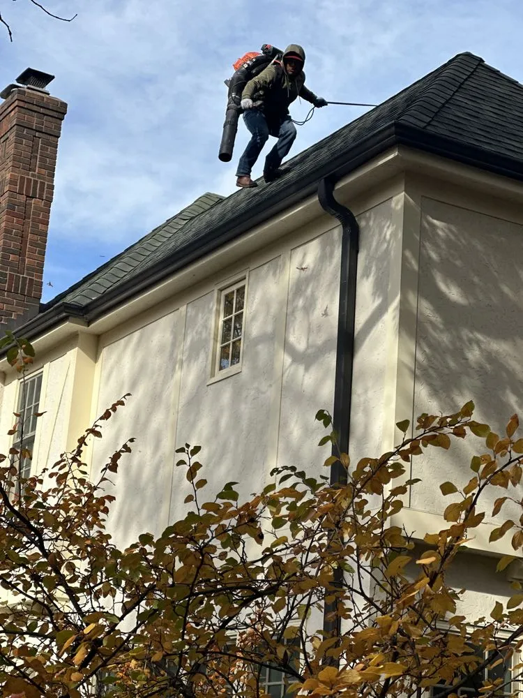 Top-rated yard cleanup service with custom design in Apple Valley, MN by Ace of Spades