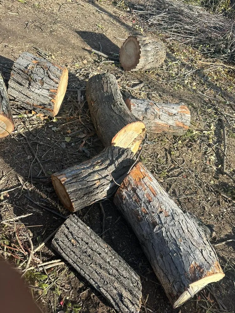 Top-rated yard maintenance in Apple Valley, MN - Ace of Spades