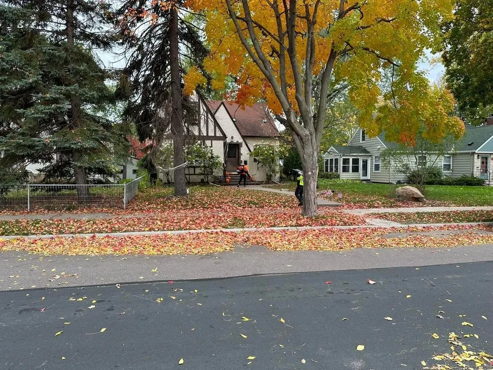 Top-rated landscape installation in Apple Valley, MN by Ace of Spades