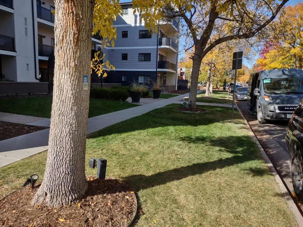 Professional lawn mowing service for beautiful yards in Denver, CO by Ace of Spades Gardening & Design