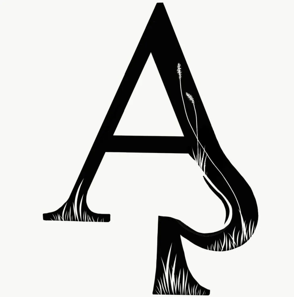 Professional lawn care service for outdoor upgrades across Denver, CO - Ace of Spades Gardening & Design