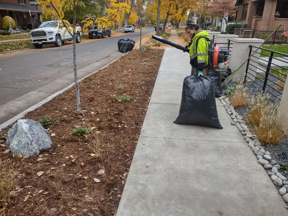Local outdoor landscaping in Denver, CO by Ace of Spades Gardening & Design