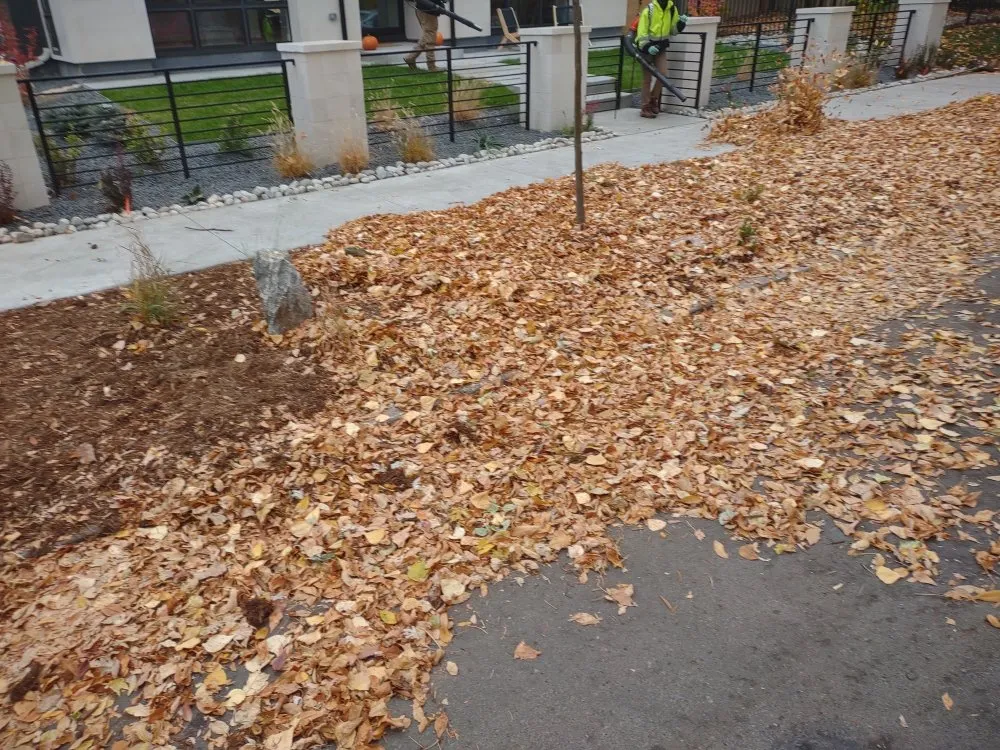 Affordable landscape design in Denver, CO - Ace of Spades Gardening & Design