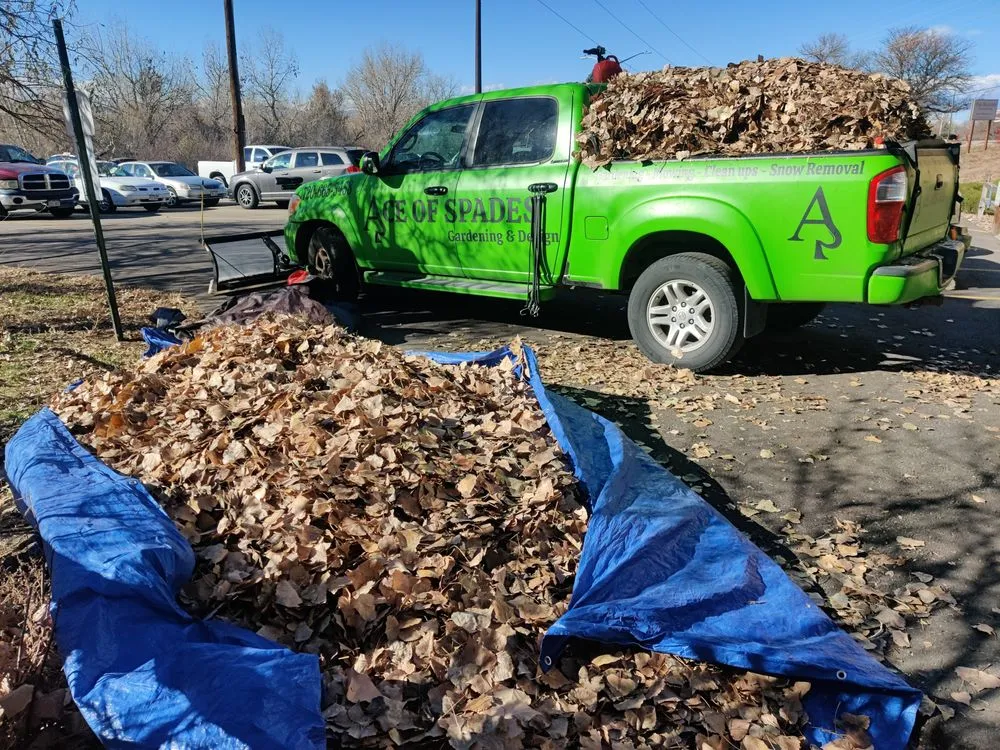 Top-rated yard maintenance for beautiful yards across Denver, CO - Ace of Spades Gardening & Design