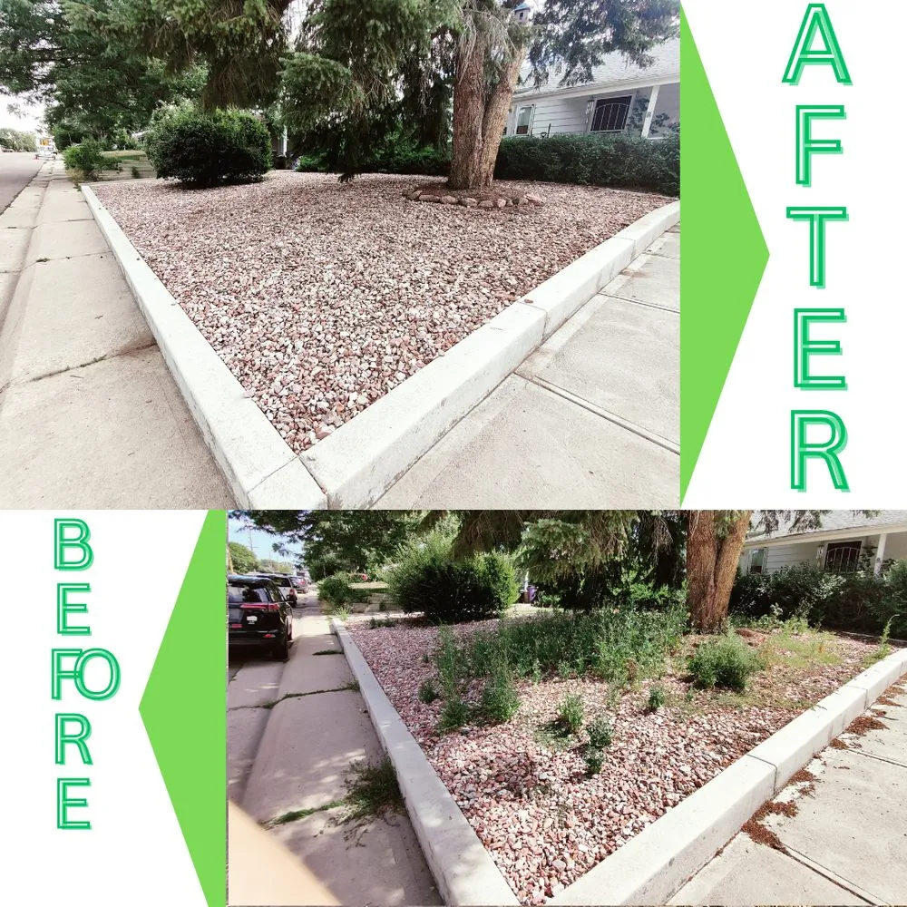 Affordable yard maintenance in Denver, CO by Ace of Spades Gardening & Design