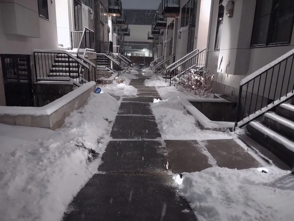 Affordable residential landscaping in Denver, CO by Ace of Spades Gardening & Design