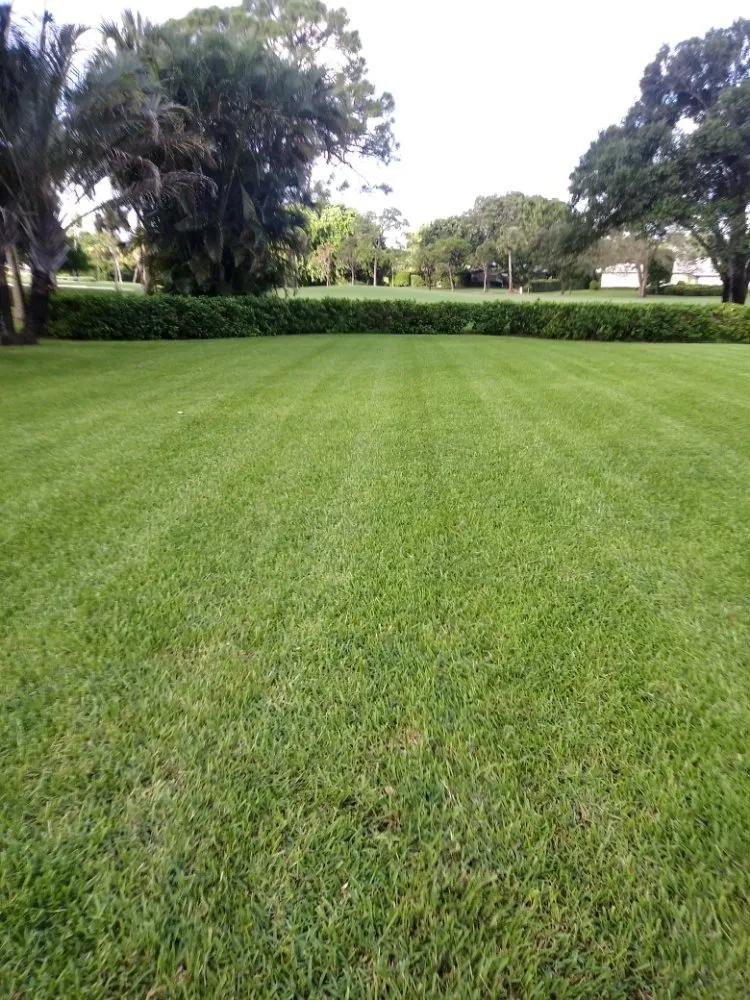Affordable yard maintenance in Boynton Beach, FL by Ace Of Spades Lawn Care