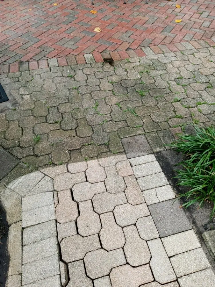 Custom lawn mowing service with custom design in Boynton Beach, FL by Ace Of Spades Lawn Care