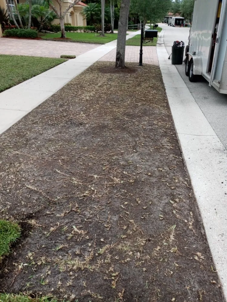 Custom lawn care service for residential properties in Boynton Beach, FL by Ace Of Spades Lawn Care