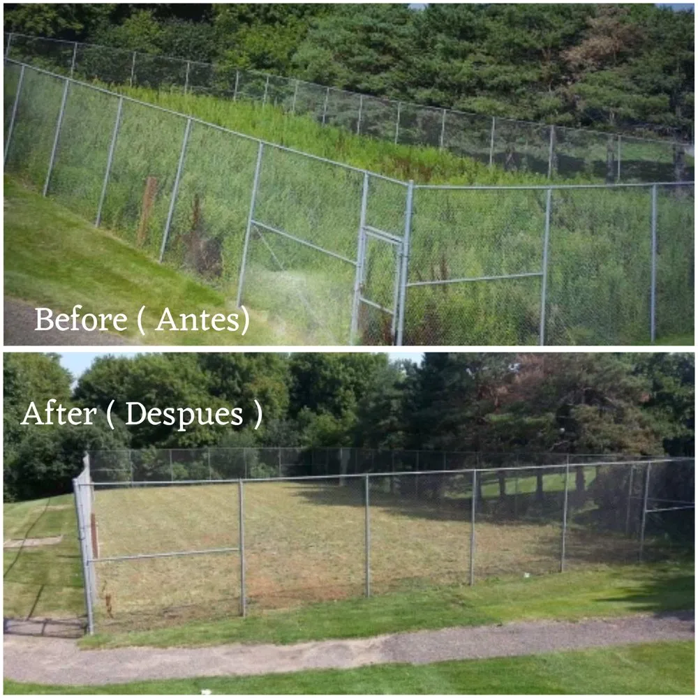 Trusted landscaping services for beautiful yards in Brooklyn Center, MN by Ace Outdoor Services