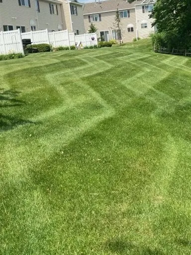 Reliable yard cleanup service in Brooklyn Center, MN by Ace Outdoor Services