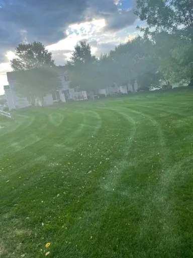 Expert landscape installation for beautiful yards in Brooklyn Center, MN by Ace Outdoor Services