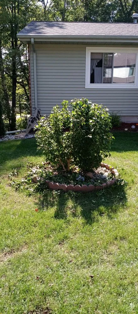 Professional landscape design in Flint, MI - Ace Outdoor Services