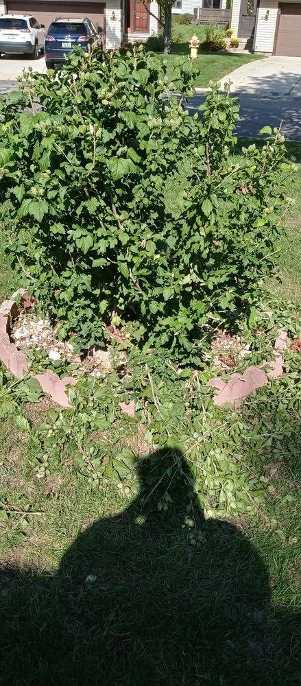 Expert yard maintenance in Flint, MI - Ace Outdoor Services