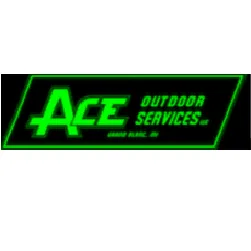 Local landscape design in Flint, MI by Ace Outdoor Services