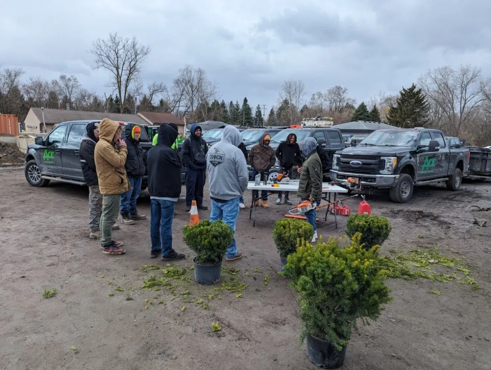 Affordable yard cleanup service for outdoor upgrades in Flint, MI by Ace Outdoor Services