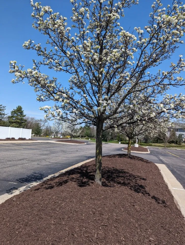 Affordable yard maintenance in Flint, MI - Ace Outdoor Services