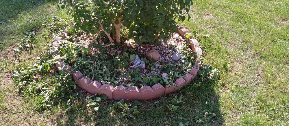 Trusted landscaping services in Flint, MI by Ace Outdoor Services