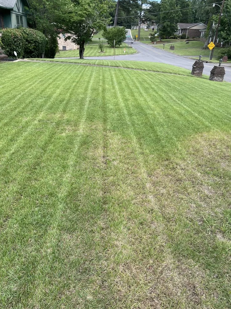 Professional residential landscaping in Mountain Brook, AL - Ace Precision Landscaping