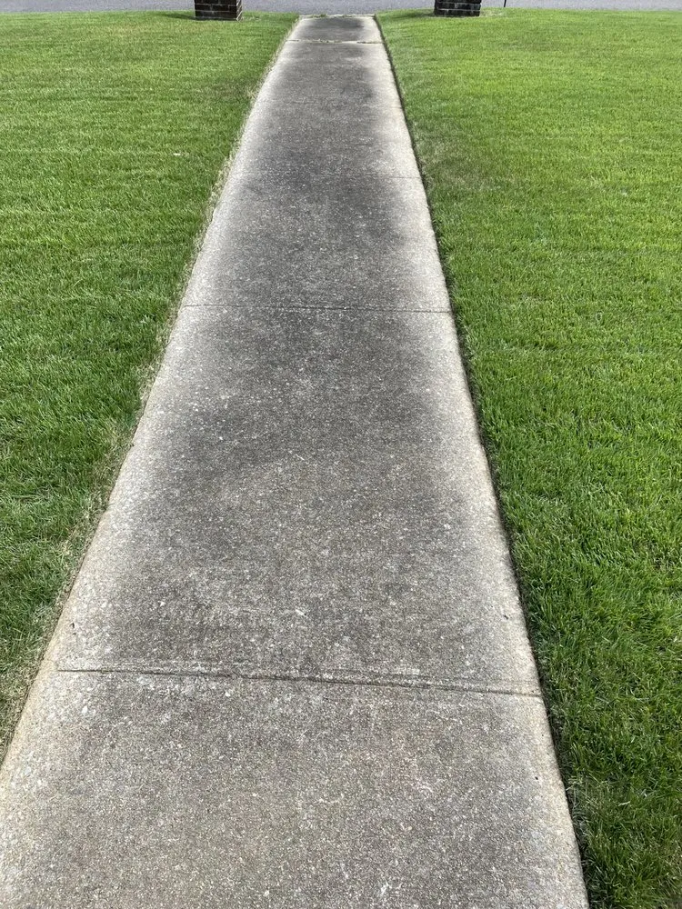 Trusted lawn care service in Mountain Brook, AL - Ace Precision Landscaping