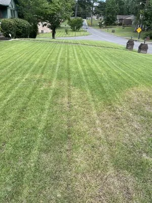 Ace Precision Landscaping