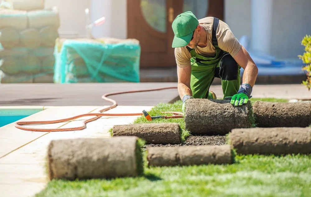 Local yard cleanup service for beautiful yards across Conyers, GA - Ace Pro Forestry Mulching & Land Management