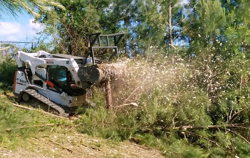 Top-rated lawn mowing service in Conyers, GA - Ace Pro Forestry Mulching & Land Management