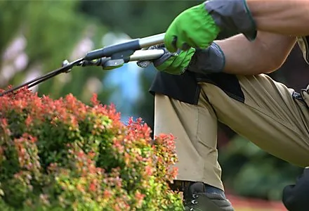 Top-rated residential landscaping in Conyers, GA - Ace Pro Forestry Mulching & Land Management