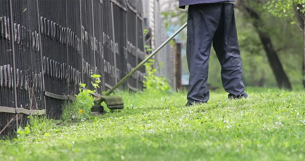 Professional landscaping services in Conyers, GA by Ace Pro Forestry Mulching & Land Management