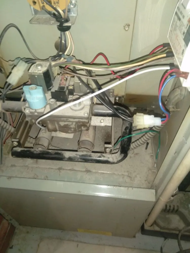 Professional landscaping services near you across Fort Wayne, IN - Ace pro