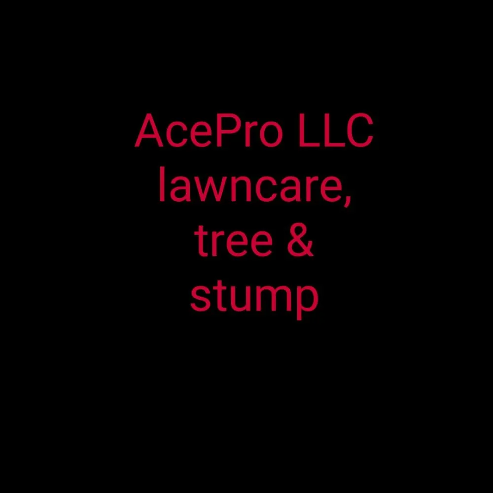 Reliable yard maintenance in Fort Wayne, IN - Ace pro