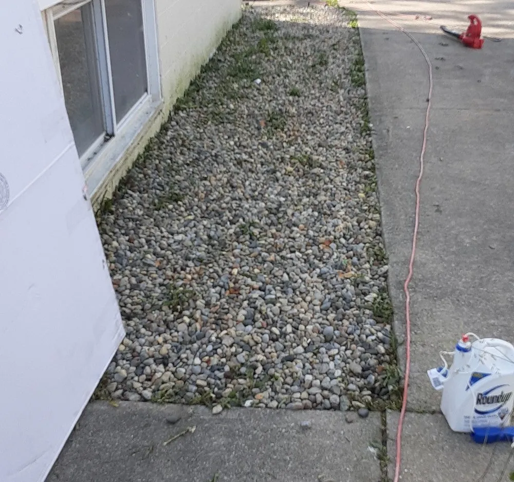 Local garden landscaping for beautiful yards across Fort Wayne, IN - Ace pro