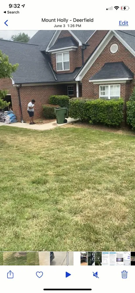 Expert yard cleanup service in Cherryville, NC by ACE Property Services