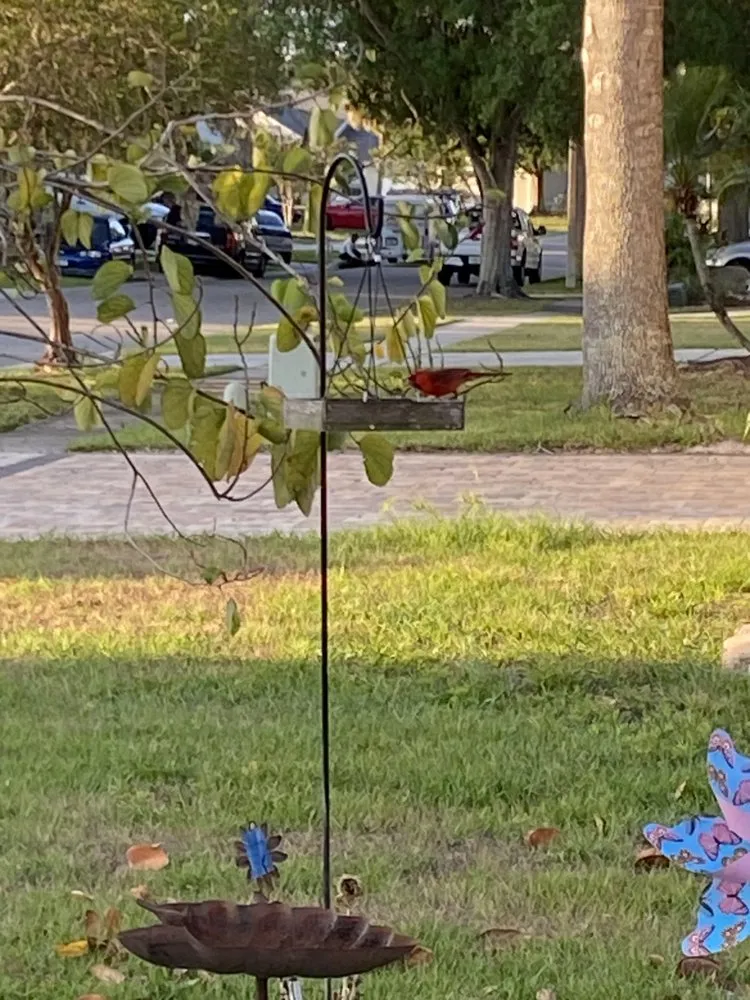 Affordable yard maintenance in Orlando, FL by Ace Punk Lawn Care