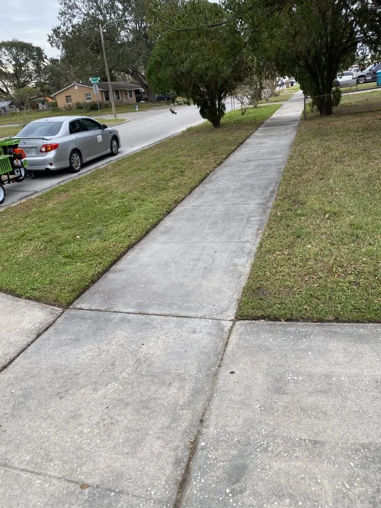 Reliable yard cleanup service with custom design across Orlando, FL - Ace Punk Lawn Care