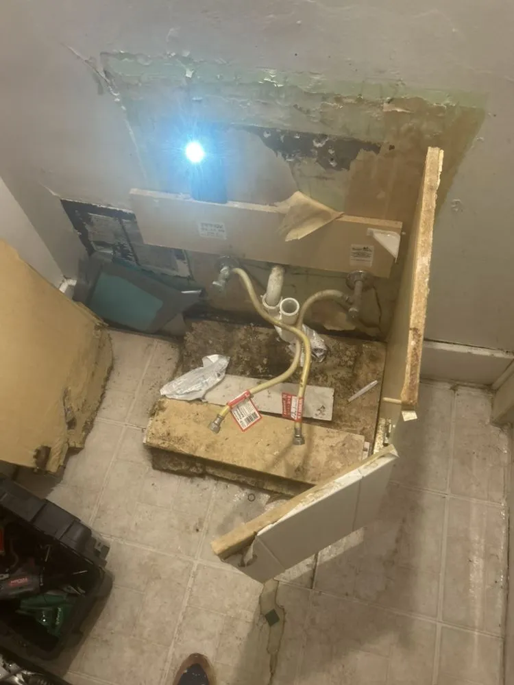 Local landscape installation in Toledo, OH by Ace Renovations