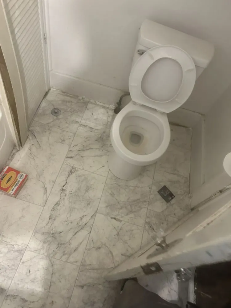 Top-rated yard maintenance for year-round maintenance in Toledo, OH by Ace Renovations