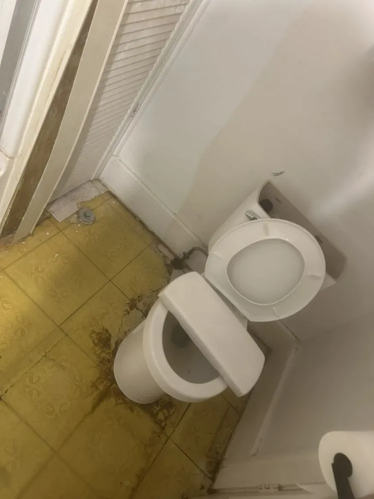 Custom lawn mowing service for beautiful yards in Toledo, OH by Ace Renovations