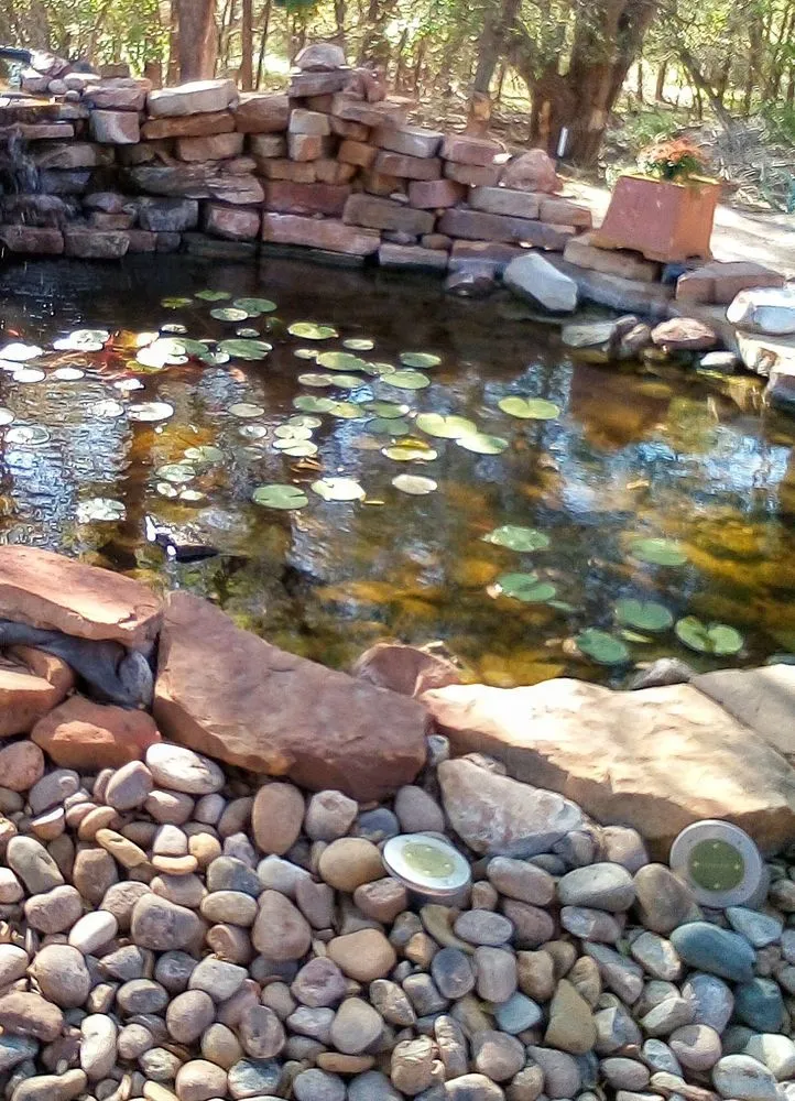 Top-rated lawn mowing service experts serving Sartell, MN - Ace Team Landscape and Property Services