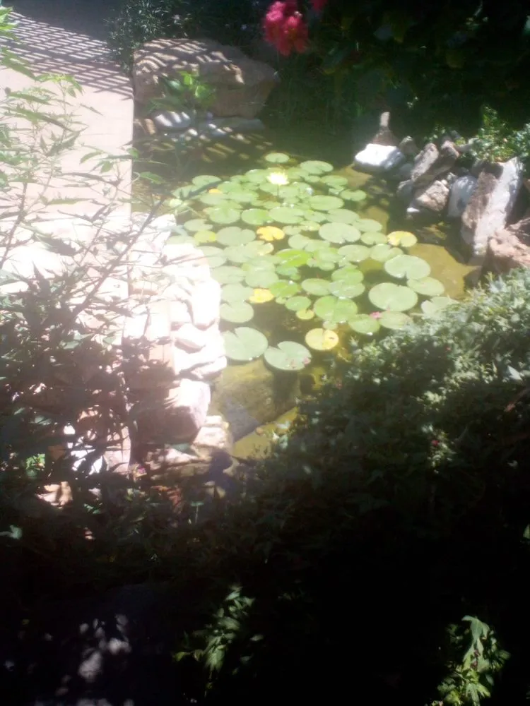 Expert yard maintenance for beautiful yards in Sartell, MN by Ace Team Landscape and Property Services