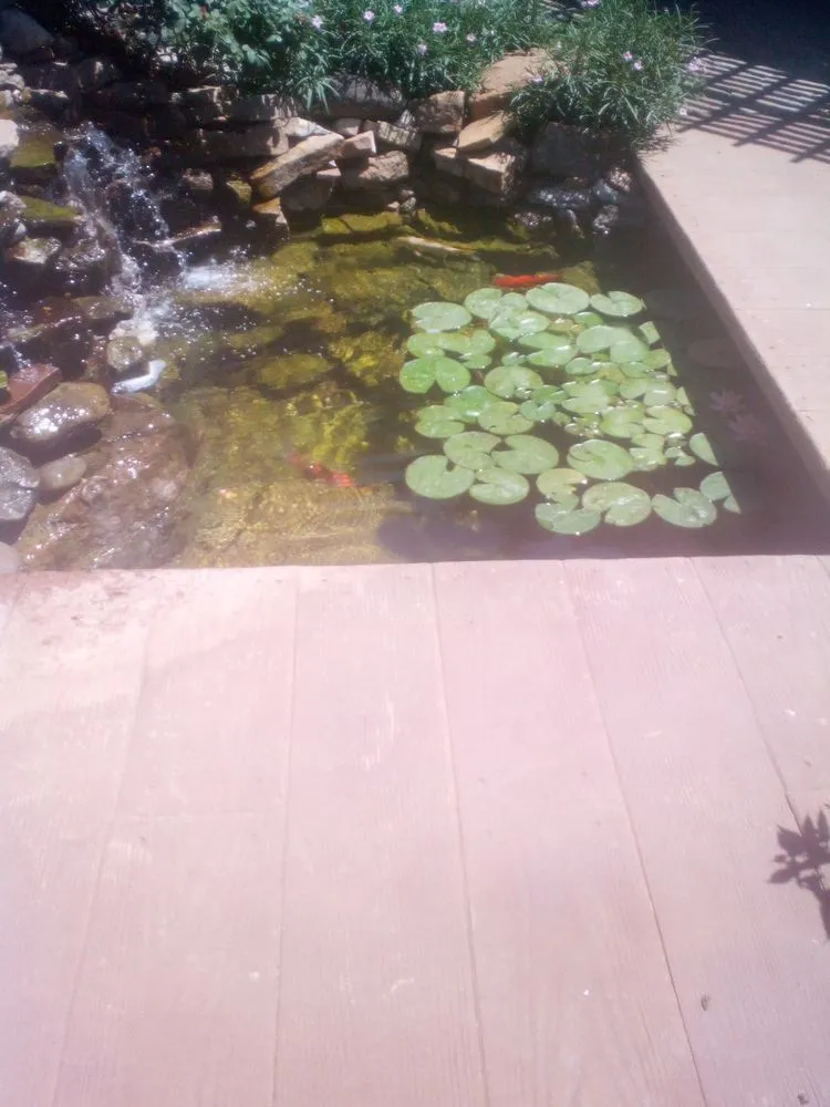 Reliable yard maintenance experts serving Sartell, MN - Ace Team Landscape and Property Services