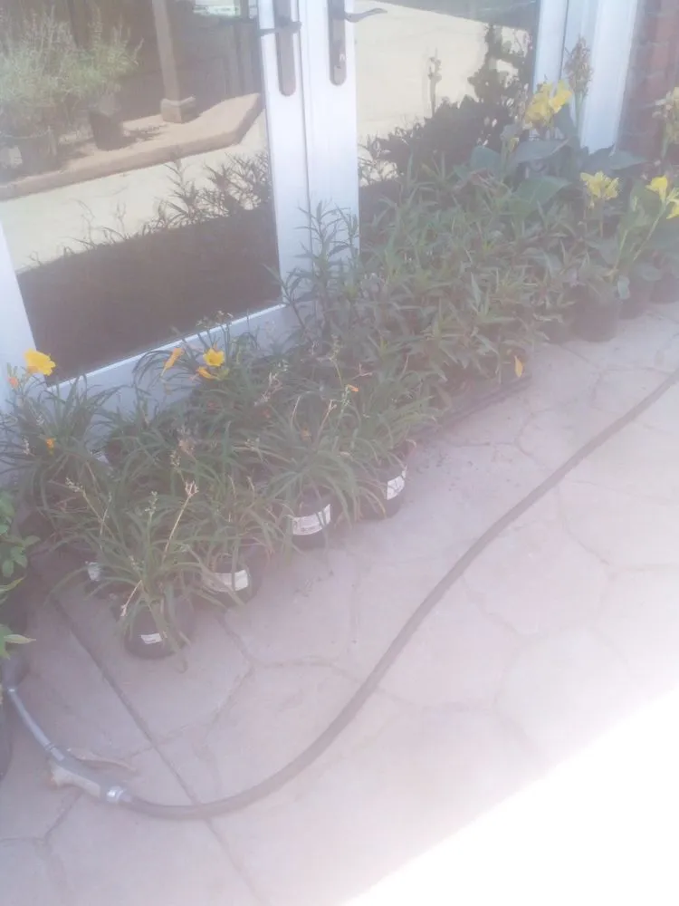 Trusted landscape installation in Sartell, MN - Ace Team Landscape and Property Services