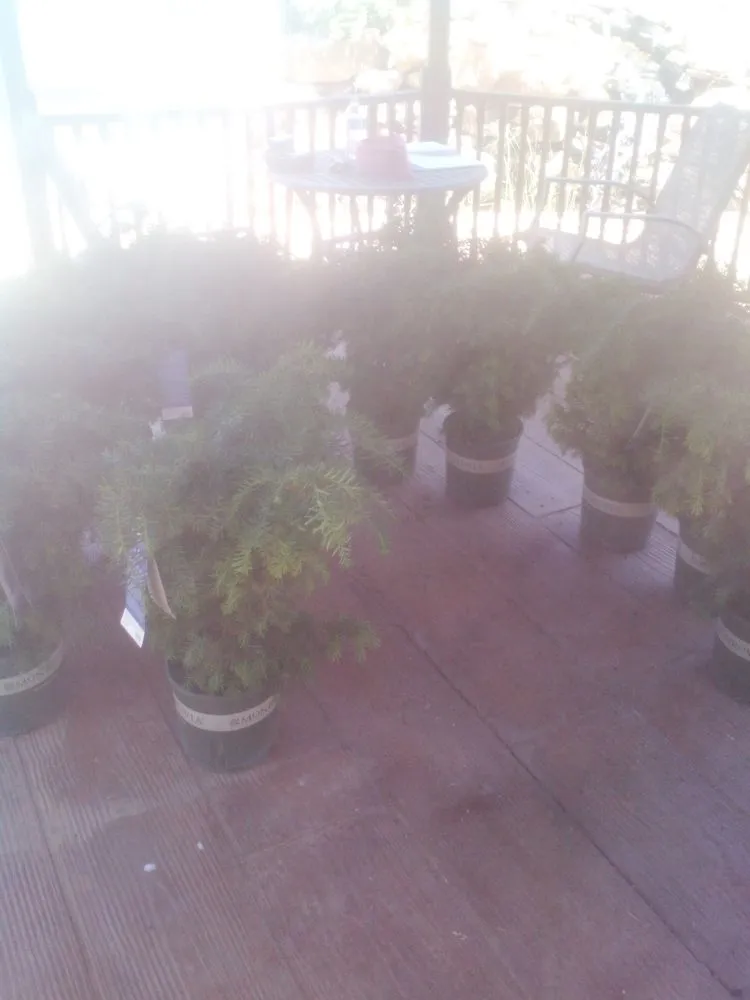 Trusted lawn care service in Sartell, MN - Ace Team Landscape and Property Services