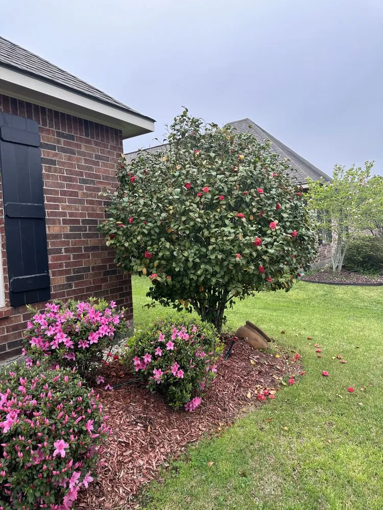 Trusted residential landscaping in Baton Rouge, LA by Ace Terrain Landscaping