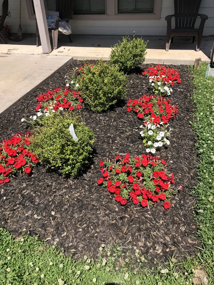 Expert residential landscaping experts serving Baton Rouge, LA - Ace Terrain Landscaping