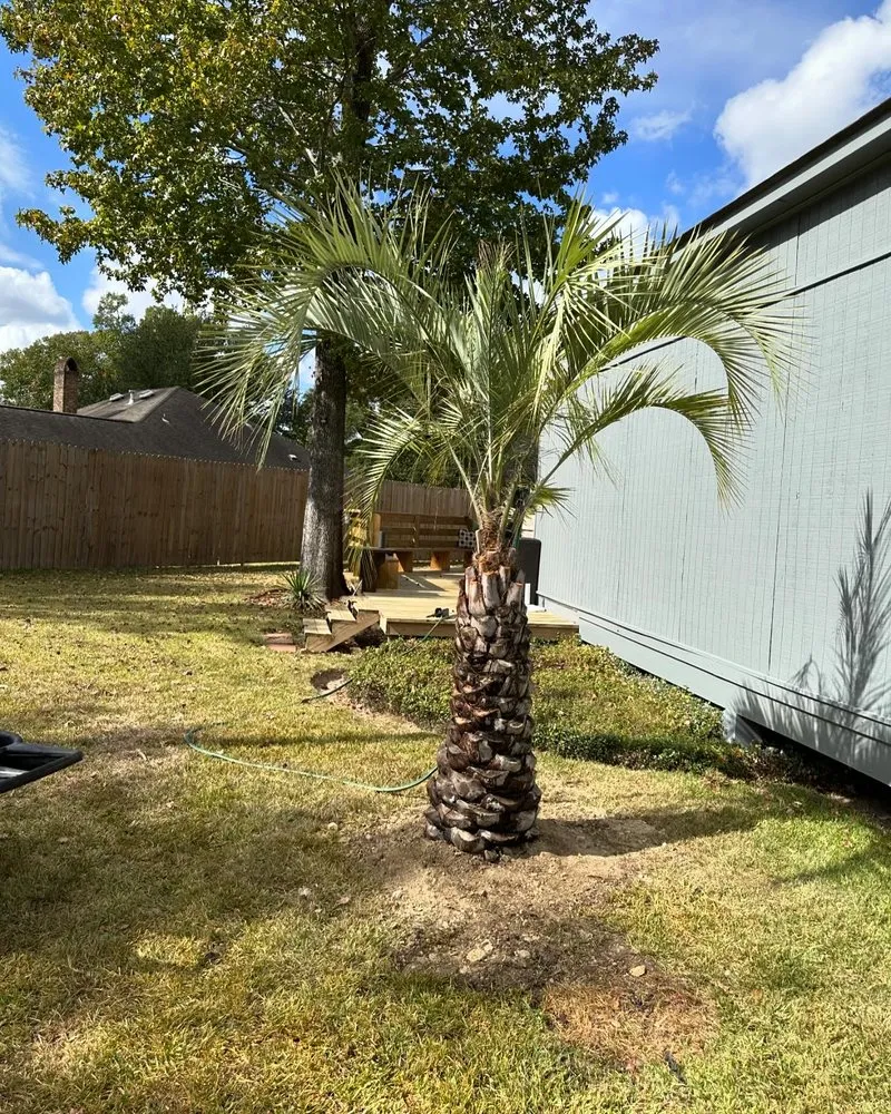 Custom residential landscaping in Baton Rouge, LA - Ace Terrain Landscaping