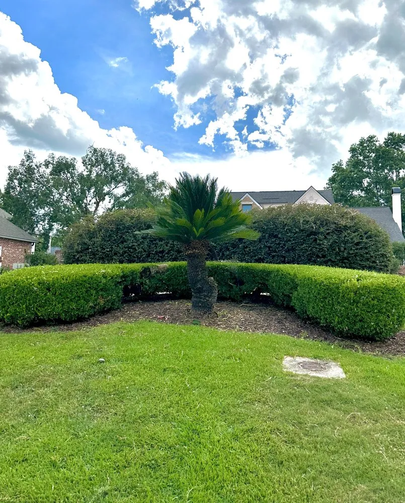 Top-rated yard cleanup service in Baton Rouge, LA by Ace Terrain Landscaping