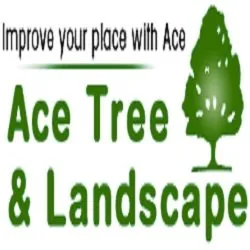 Custom landscaping services in Saint Cloud, MN by Ace Tree & Landscape