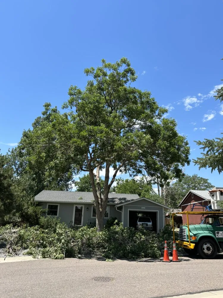 Reliable residential landscaping experts serving Westminster, CO - Ace Tree Service LLC